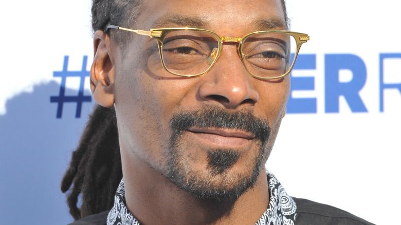 Die unsägliche Wahrheit über Snoop Doggs Kinder
