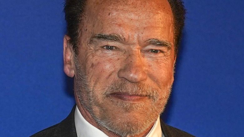 Arnold Schwarzenegger auf einem Klimagipfel